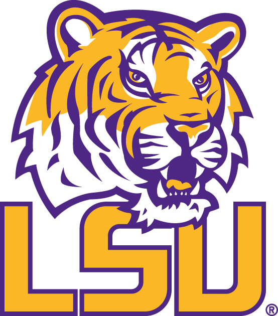 LSU Tigers 2002-Pres Alternate Logo v7 diy fabric transfer